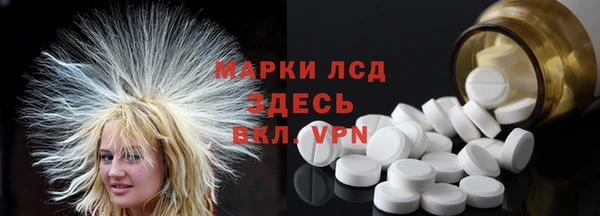 сатива Бородино
