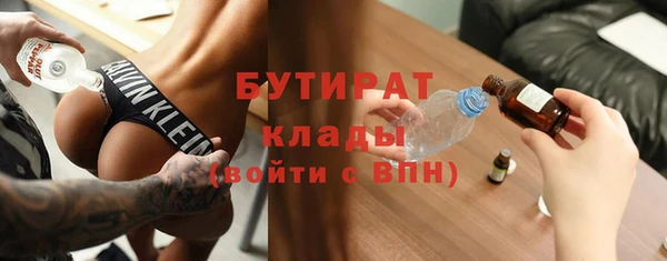 сатива Бородино