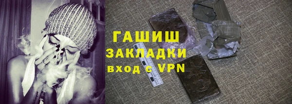 сатива Бородино