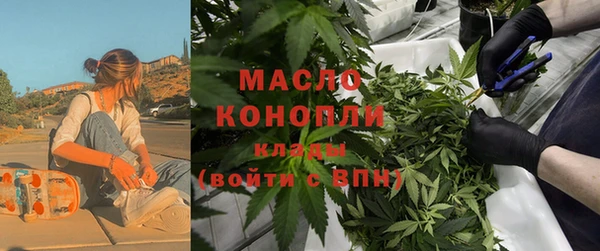 сатива Бородино