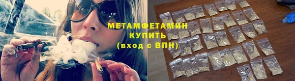 сатива Бородино